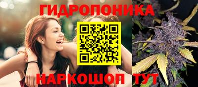 гашишное масло Можга
