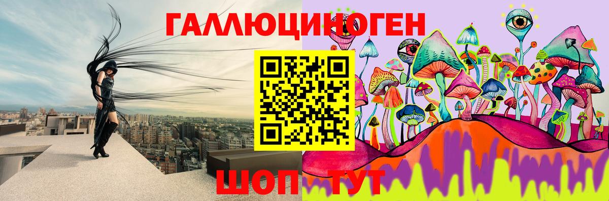 наркотики  Галлюциногенные грибы MAGIC MUSHROOMS  Вход с VPN  Братск 